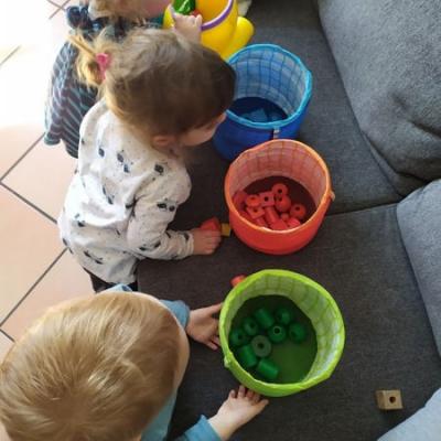 Jaune, bleu, rouge ou vert ?