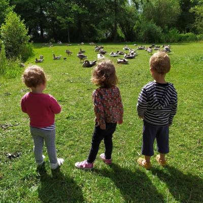 Les sorties parcs et forêt