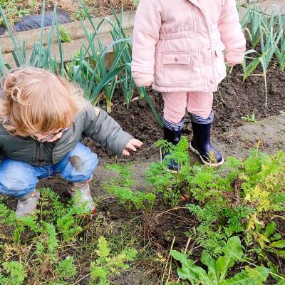Le potager de nounou