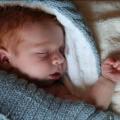 Le sommeil